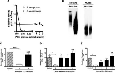 Airway Mucins Inhibit Oxidative and Non-Oxidative Bacterial Killing by Human Neutrophils